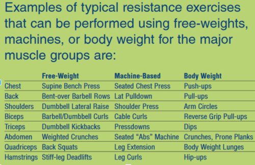 Table with exercises for particular areas of the body using free weights, machines, or body weight.